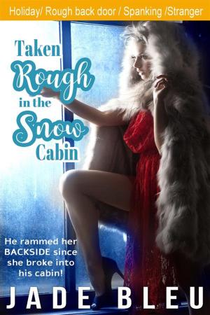 Cover of the book Taken Rough in the Snow Cabin by Cherry Dimity