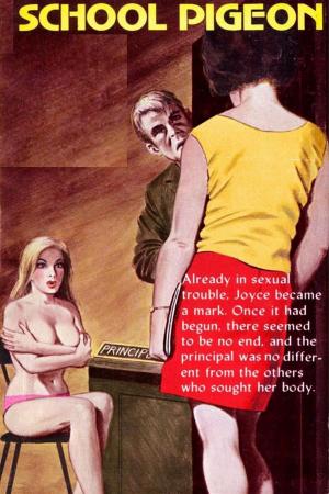 Book cover of School Pigeon - Erotic Novel