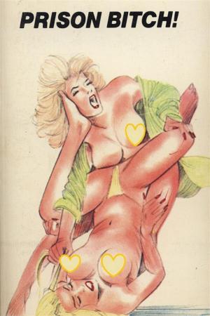 Book cover of Prison Bitch! - Erotic Novel