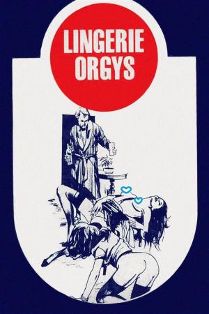 Book cover of Lingerie Orgys - Erotic Novel