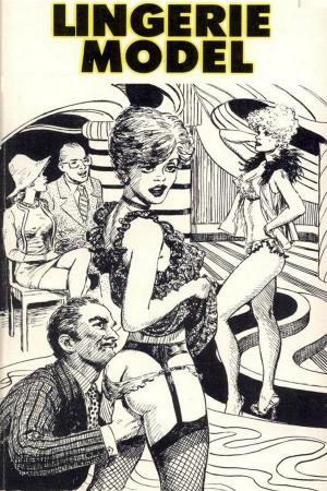 Book cover of Lingerie Model - Erotic Novel