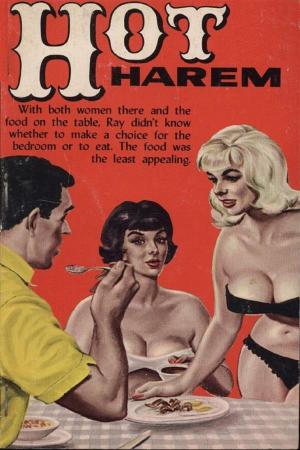 Book cover of Hot Harem - Erotic Novel