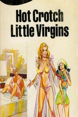 Book cover of Hot Crotch Little Virgins - Erotic Novel