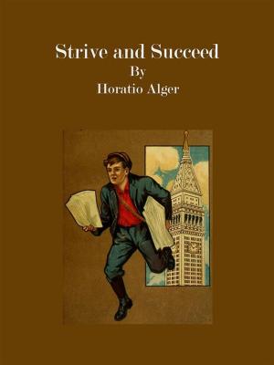 Book cover of Strive and Succeed