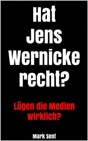 Cover of the book Hat Jens Wernicke recht? by Peter Traum