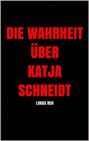 Cover of the book Die Wahrheit über Katja Schneidt by Jonas Schneider