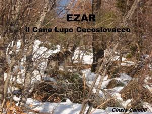 Cover of the book EZAR il Cane Lupo Cecoslovacco by Frank Catalano