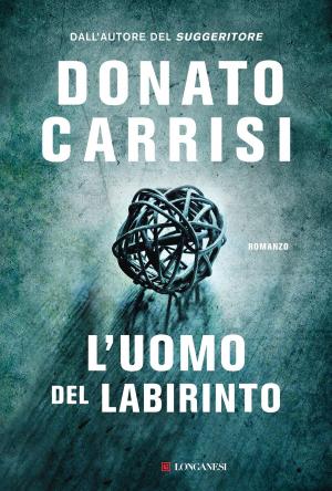 Cover of L'uomo del labirinto