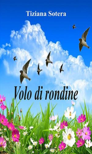 Cover of the book Volo di rondine by ANTOLOGIA AUTORI VARI
