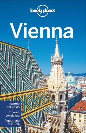 Cover of the book Vienna by Carolyn McCarthy