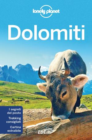 Book cover of Dolomiti