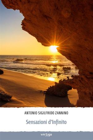 Cover of the book Sensazioni d'Infinito by Christiane Casazza