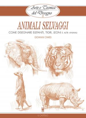 Cover of Arte e Tecnica del Disegno - 13 - Animali selvaggi