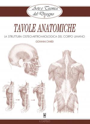 Cover of the book Arte e Tecnica del Disegno - 15 - Tavole anatomiche by Walter Ferreri