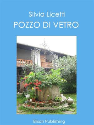 Book cover of Pozzo di vetro