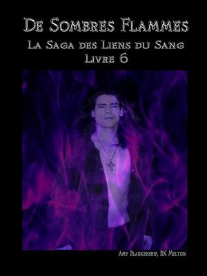 Book cover of De Sombres Flammes