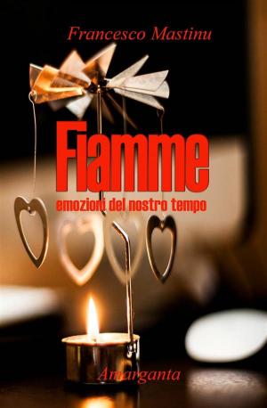 Cover of the book Fiamme by Amneris Di Cesare