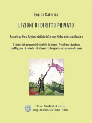 Cover of the book Lezioni di Diritto Privato - Versione Integrale by Enrico Caterini