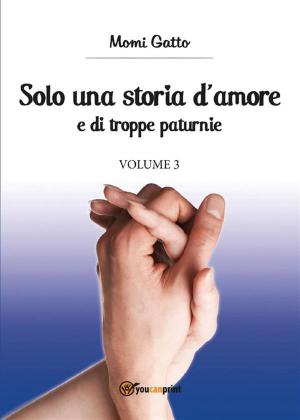 Book cover of Solo una storia d'amore e di troppe paturnie. Volume 3