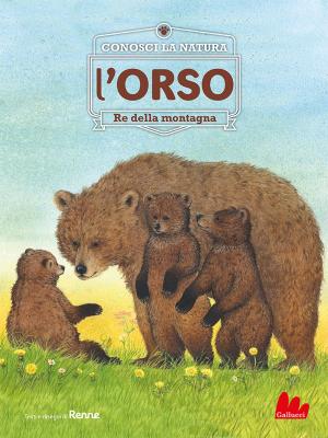 Cover of the book Conosci la natura. l'ORSO by Kyōko Hayashi