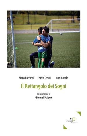 Book cover of Il rettangolo dei sogni