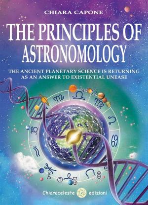 bigCover of the book The Principles of Astronomology by 