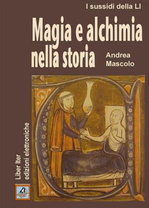 Book cover of Magia e alchimia nella storia