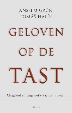 Cover of the book Geloven op de tast by Anne West
