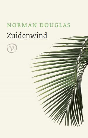 Cover of the book Zuidenwind by Jannie Regnerus