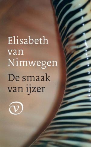 Cover of the book De smaak van ijzer by Konstantin Paustovski