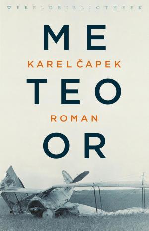 Cover of the book Meteoor by Hugo Röling