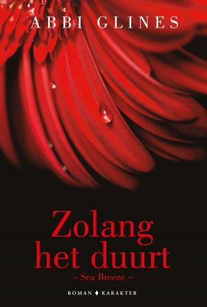 Cover of the book Zolang het duurt by Philipp Vandenberg