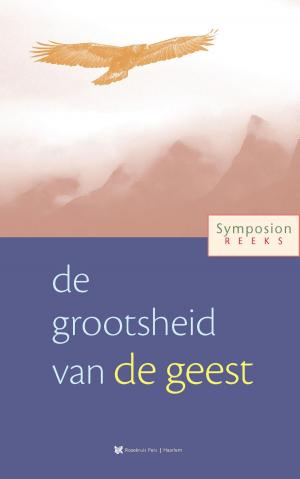 Cover of the book De grootsheid van de geest by Boer de André, Rozema Tanja