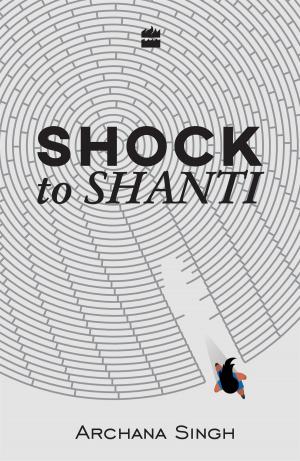 Cover of the book Shock to Shanti by Karmel Nair