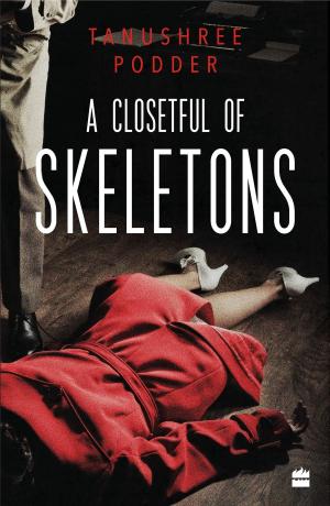 bigCover of the book A Closetful of Skeletons by 