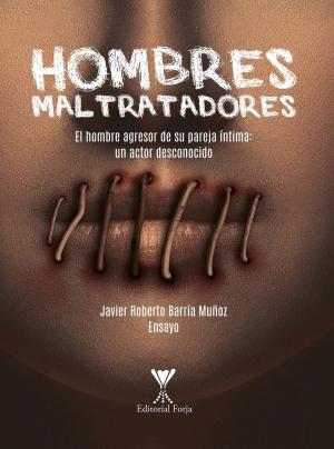 Cover of the book Hombres maltratadores by José Petermann