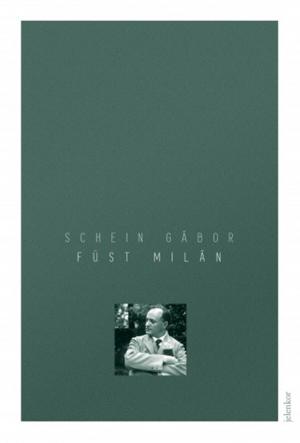 Cover of the book Füst Milán by Kőrösi Zoltán