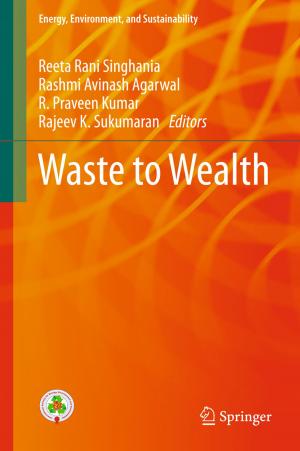 Cover of the book Waste to Wealth by Pratima Bajpai