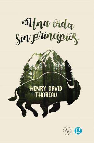 Cover of the book Una vida sin principios by Karina Bidaseca