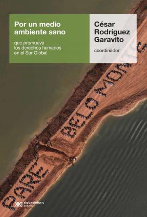 Cover of the book Por un medio ambiente sano que promueva los derechos humanos en el Sur Global by Rosana Guber