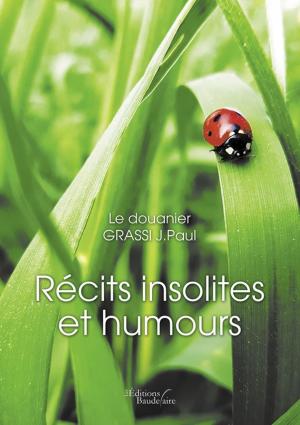 Cover of the book Récits insolites et humours by Maïté RIFATERRA-PECCEU