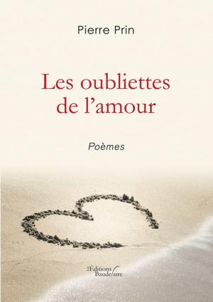 Cover of the book Les oubliettes de l'amour by Sony FAUSTIN