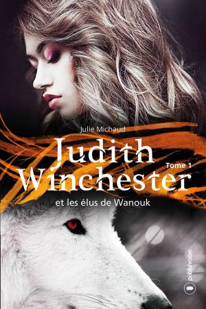 Cover of the book Judith Winchester et les élus de Wanouk - tome 1 by Chaby Langlois