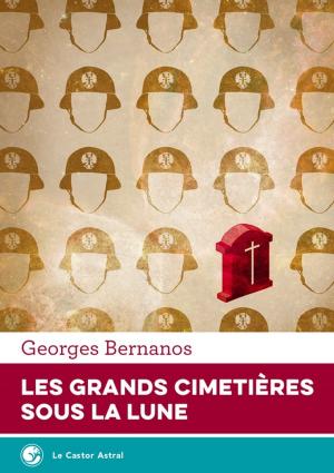 Cover of the book Les Grands cimetières sous la lune by Emmanuel Bove