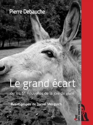 Cover of Le grand écart by Pierre Debauche,                 Daniel Mesguich, Éditions L'Ire des marges