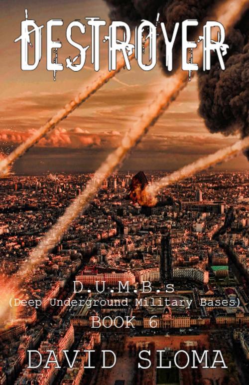 Cover of the book Destroyer: D.U.M.B.s (Deep Underground Military Bases) - Book 6 by David Sloma, Web of Life Solutions