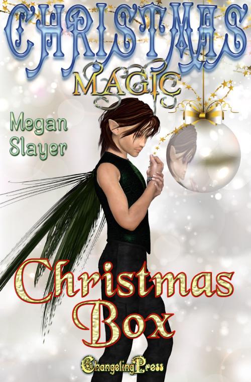Cover of the book Christmas Box by Megan Slayer, Changeling Press LLC