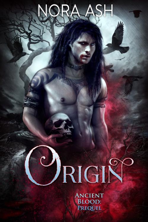 Cover of the book Origin by Nora Ash, Little Huldra Media