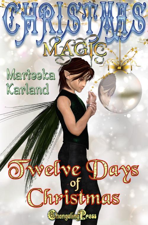 Cover of the book Twelve Days of Christmas by Marteeka Karland, Changeling Press LLC