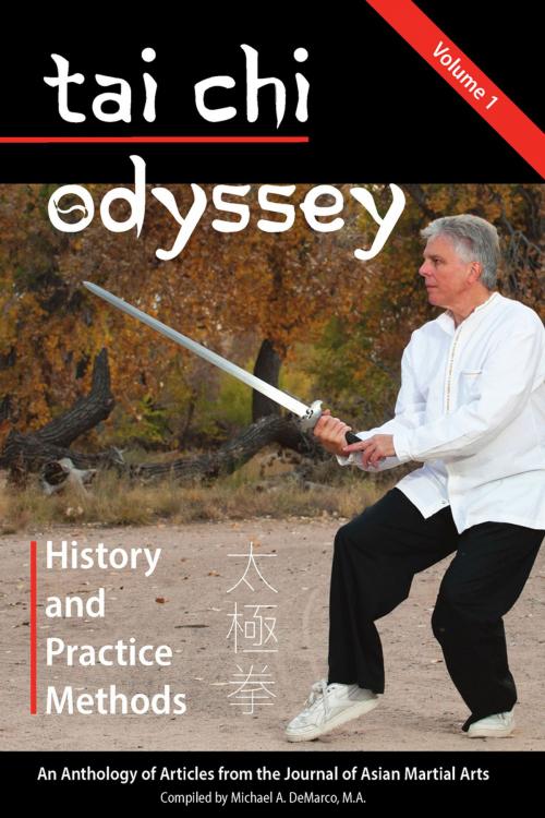 Cover of the book Tai Chi Odyssey, Vol. 1 by Michael DeMarco, Via Media Publishing